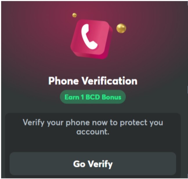 phone number verification