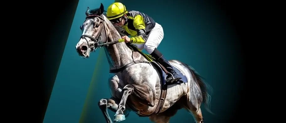 Run For Your Money Run For Your Money